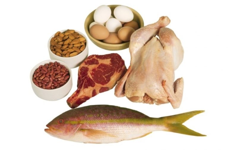 Proteína Confira Os 10 Alimentos Ricos Em Proteínas E Seus 3373