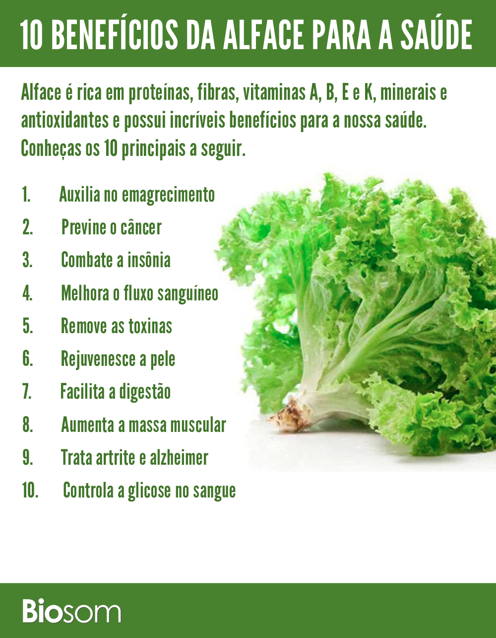 10 Benefícios Incríveis da Alface para a Saúde - Biosom 10 Benefícios Incríveis da Alface para a Saúde - Biosom