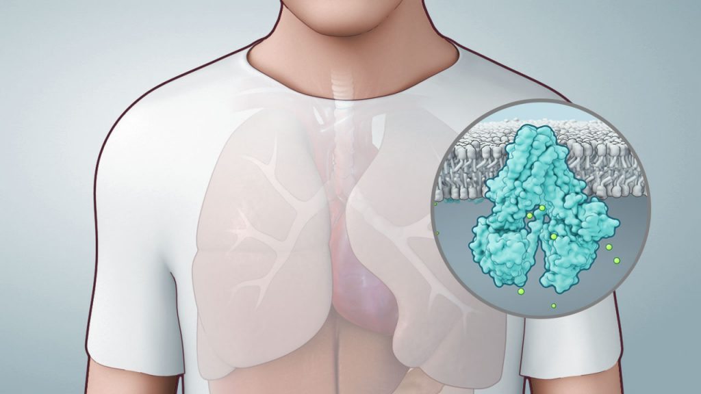 Fibrose Cística Veja As Causas Sintomas E Tratamentos