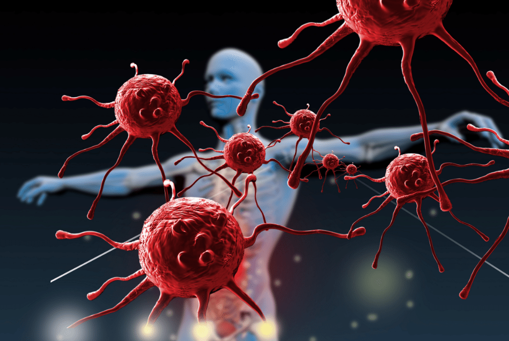 Como Funciona o Sistema Imunológico Biosom