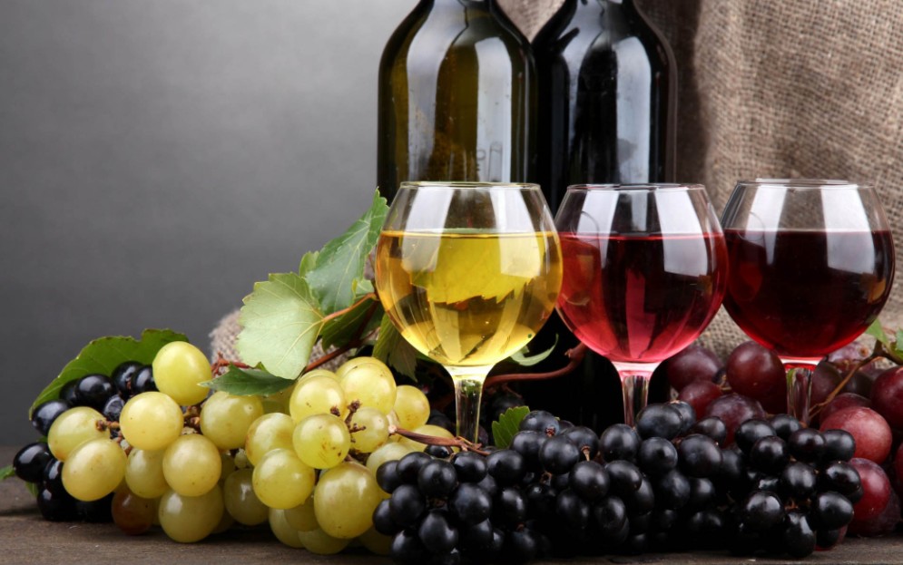 Vinho: Saiba Sobre os Principais Tipos e Sabores de Vinho!