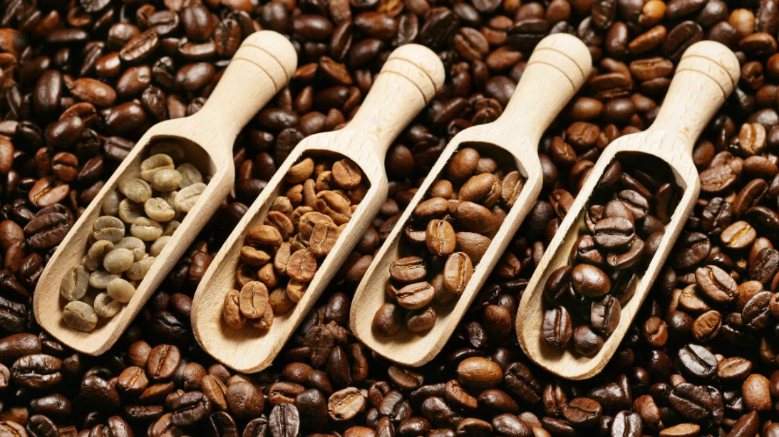 Saiba Sobre Todos os Tipos de Grãos de Café